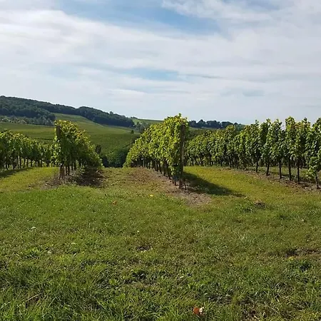 Domaine Et Manoir Du Picaud * Monestier (Dordogne)
