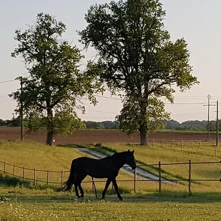 Nyaraló Domaine Et Manoir Du Picaud *