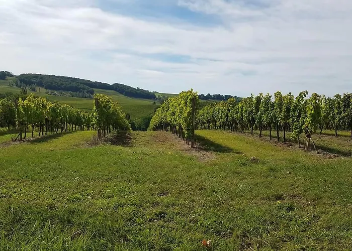 Domaine Et Manoir Du Picaud * 모네스티에