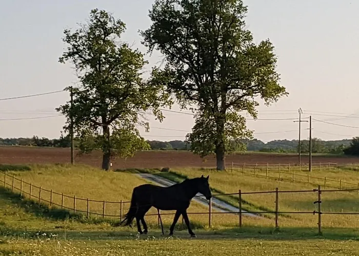 펜션 Domaine Et Manoir Du Picaud *