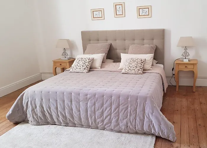 Domaine Et Manoir Du Picaud 펜션 모네스티에